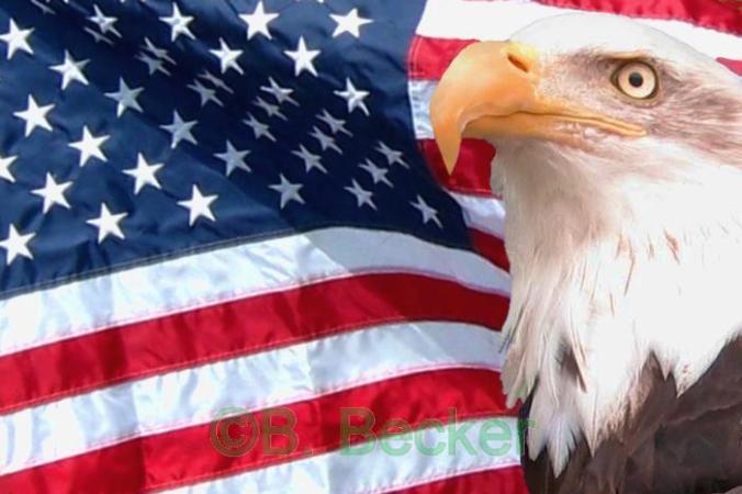 american-flag-eagle-3